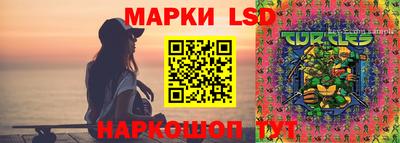 дмт Новодвинск